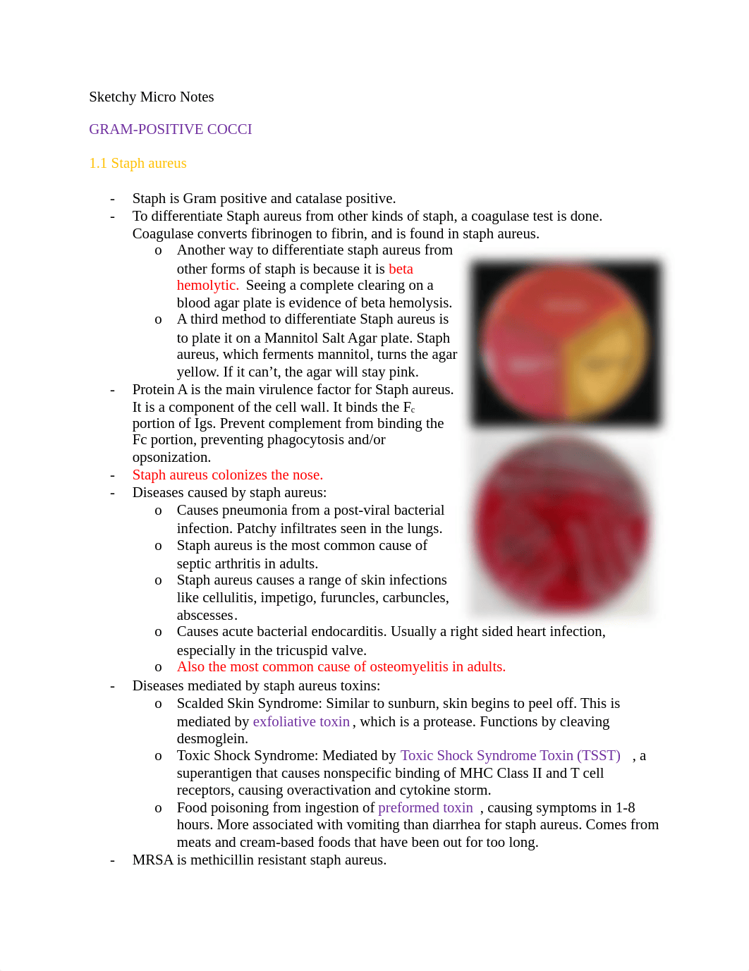 Sketchy Micro Notes.docx_ddsndfquanr_page1