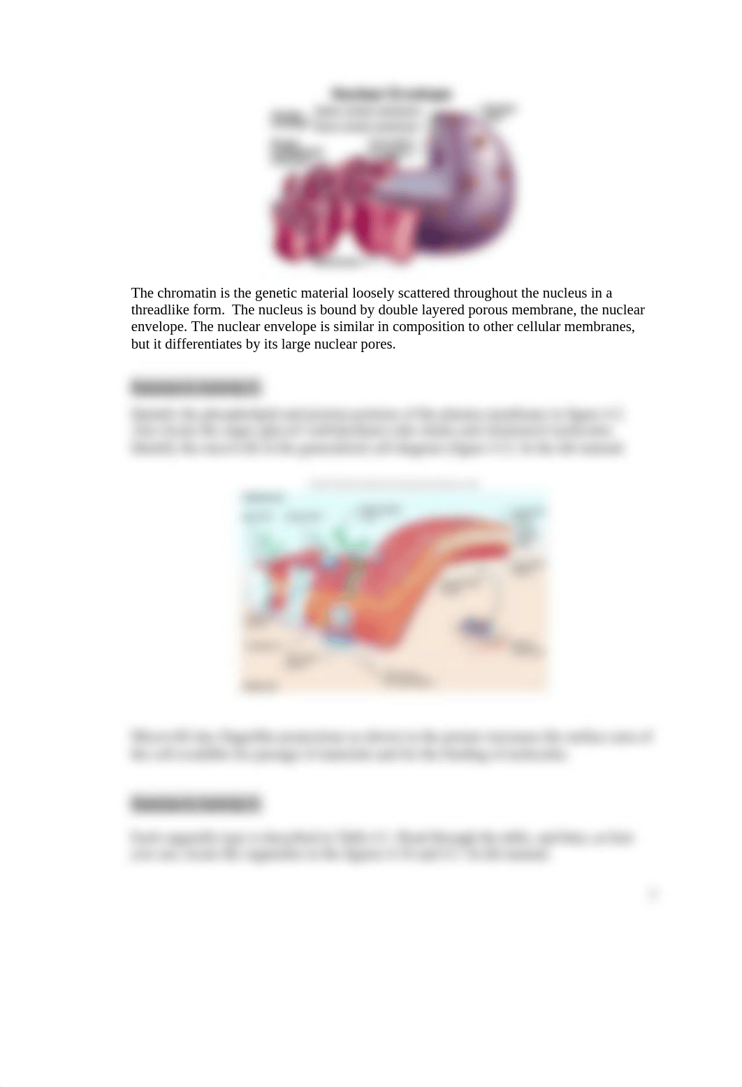 Cells and Tissue Lab Report.docx_ddspr5wsi3u_page3