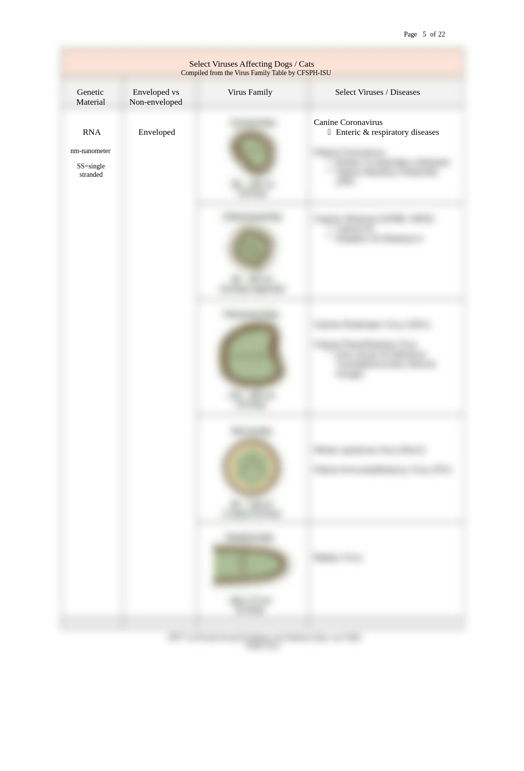 4 VETT 113 Virus-Fungi-Protozoa R FA20 Wk FOUR.docx_ddsrhwyi0en_page5