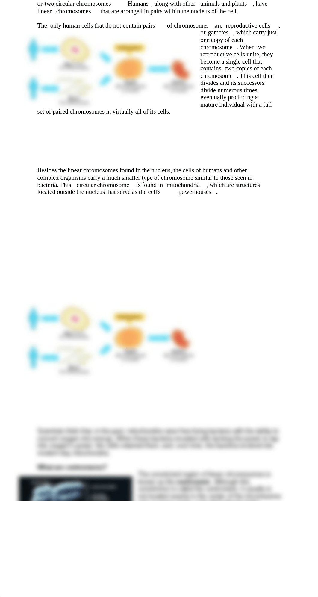 Lab 9.pdf_ddss3ncalp8_page2