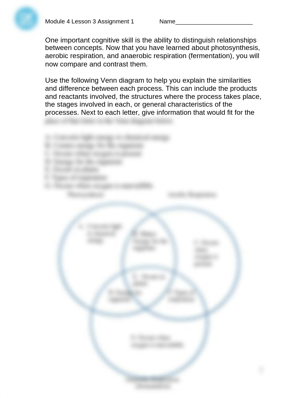 Module 4 Lesson 3 Assignment 1.doc_ddt0u3vpbod_page1