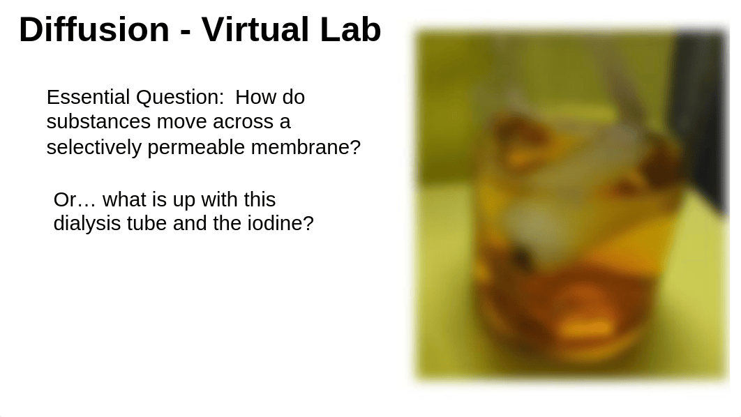 Lab Week 5 Diffusion - Virtual Lab (1) (1).pptx_ddt5iemd1av_page1