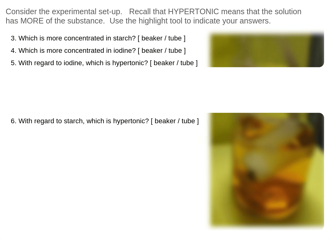 Lab Week 5 Diffusion - Virtual Lab (1) (1).pptx_ddt5iemd1av_page4