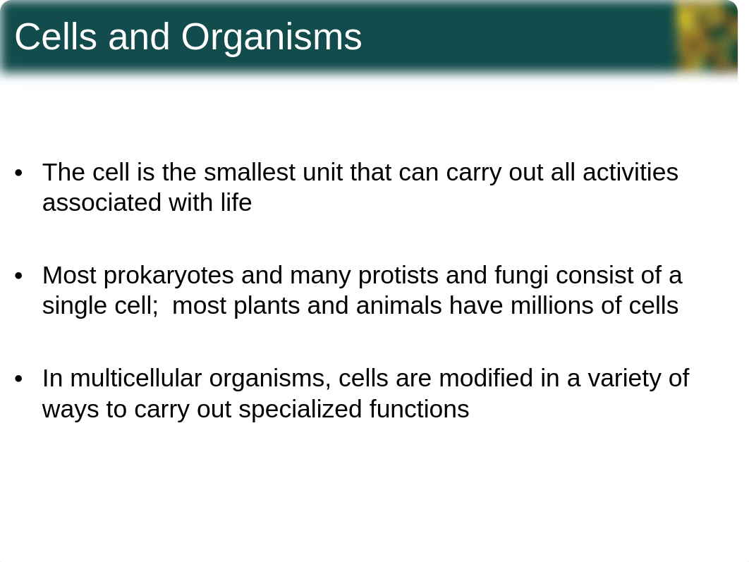 chapter4_sections1-3 Spring 2014 Supplemental Notes.ppt_ddt7rquikni_page2