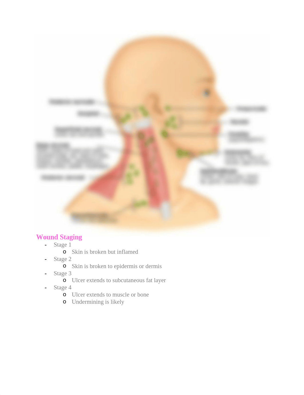 Exam 1.docx_ddta0larjng_page4