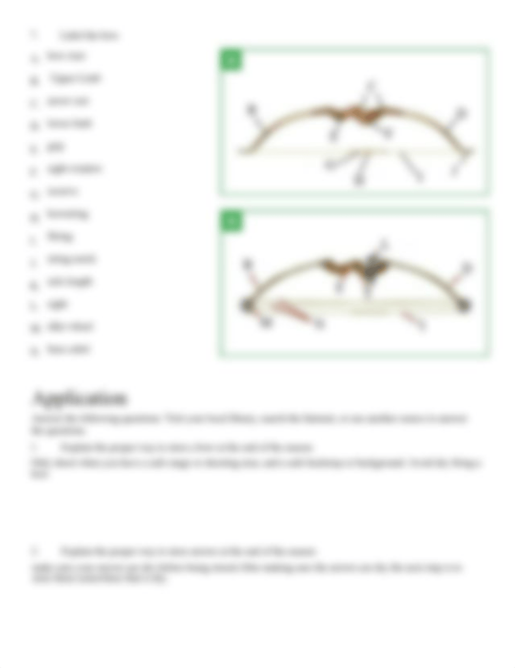 indv_team_sports_lesson_2_worksheet.pdf_ddtak66wcy4_page3