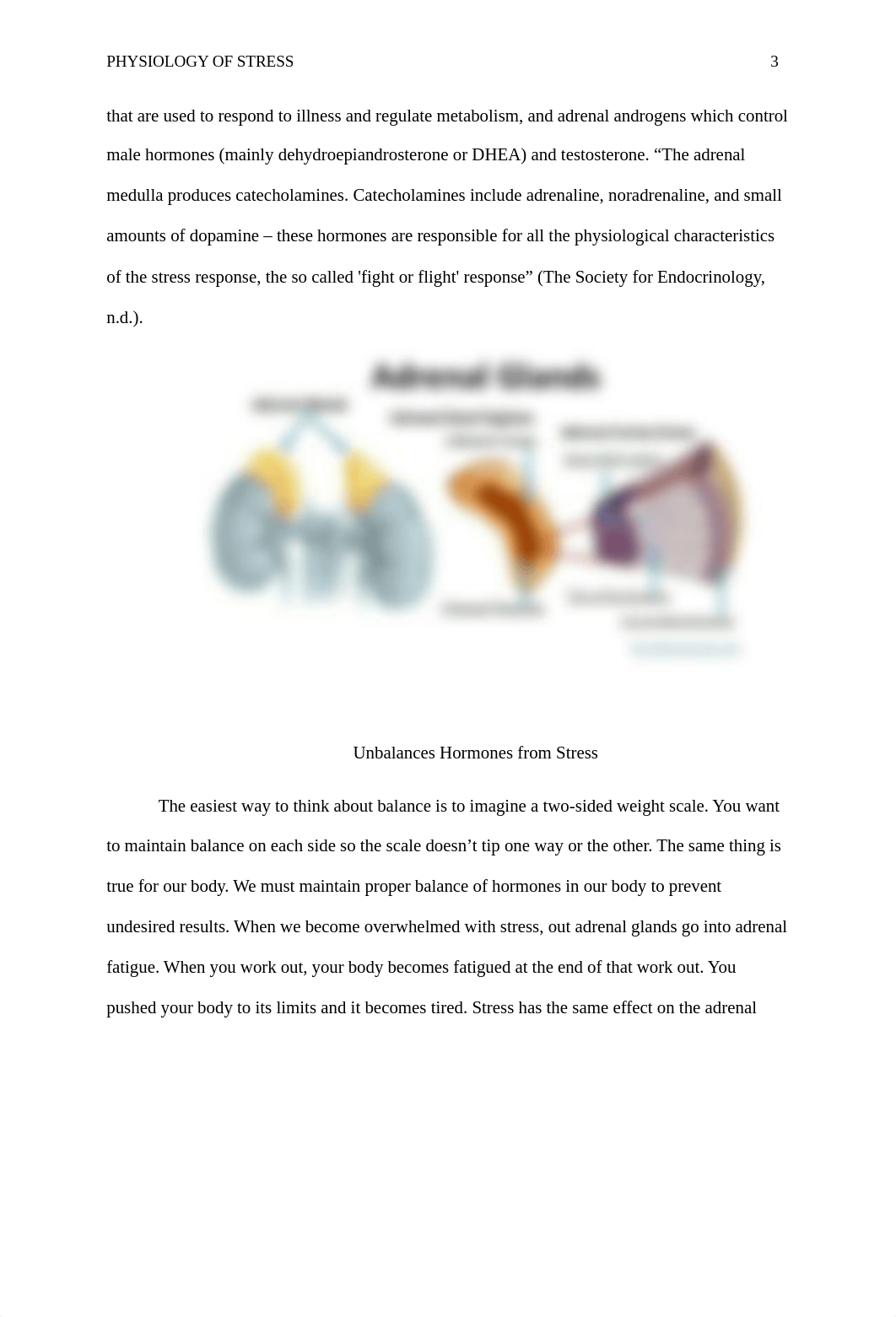 ANT100 Module 2 Case Assignment.docx_ddtbkytajic_page3