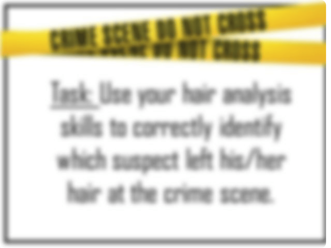 Tia Nichols - Copy of The Case of Mr. Big- hair Analysis Investigation.pptx_ddtbpbnno5y_page3