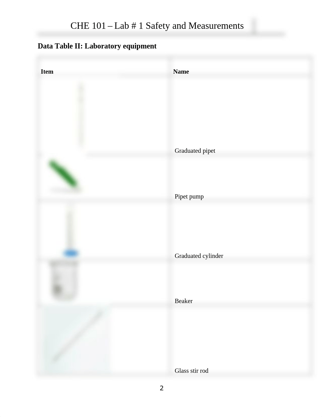 Chem 101 Experiment 1_Measurements_Worksheet ONLINE.pdf_ddti1r47f8c_page2