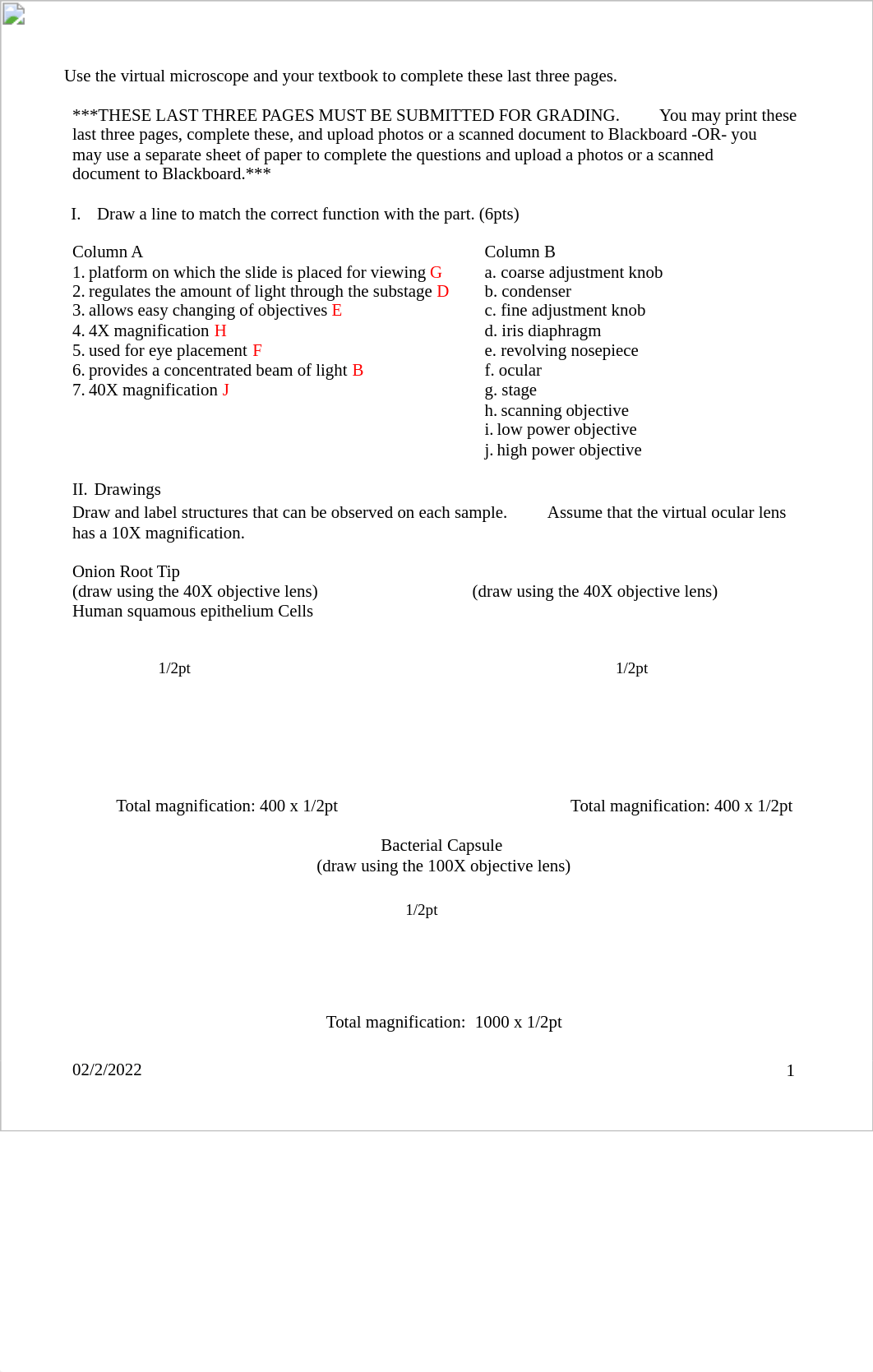 Virtual Microscope Lab Answers.pdf_ddtk2rnwhu9_page1