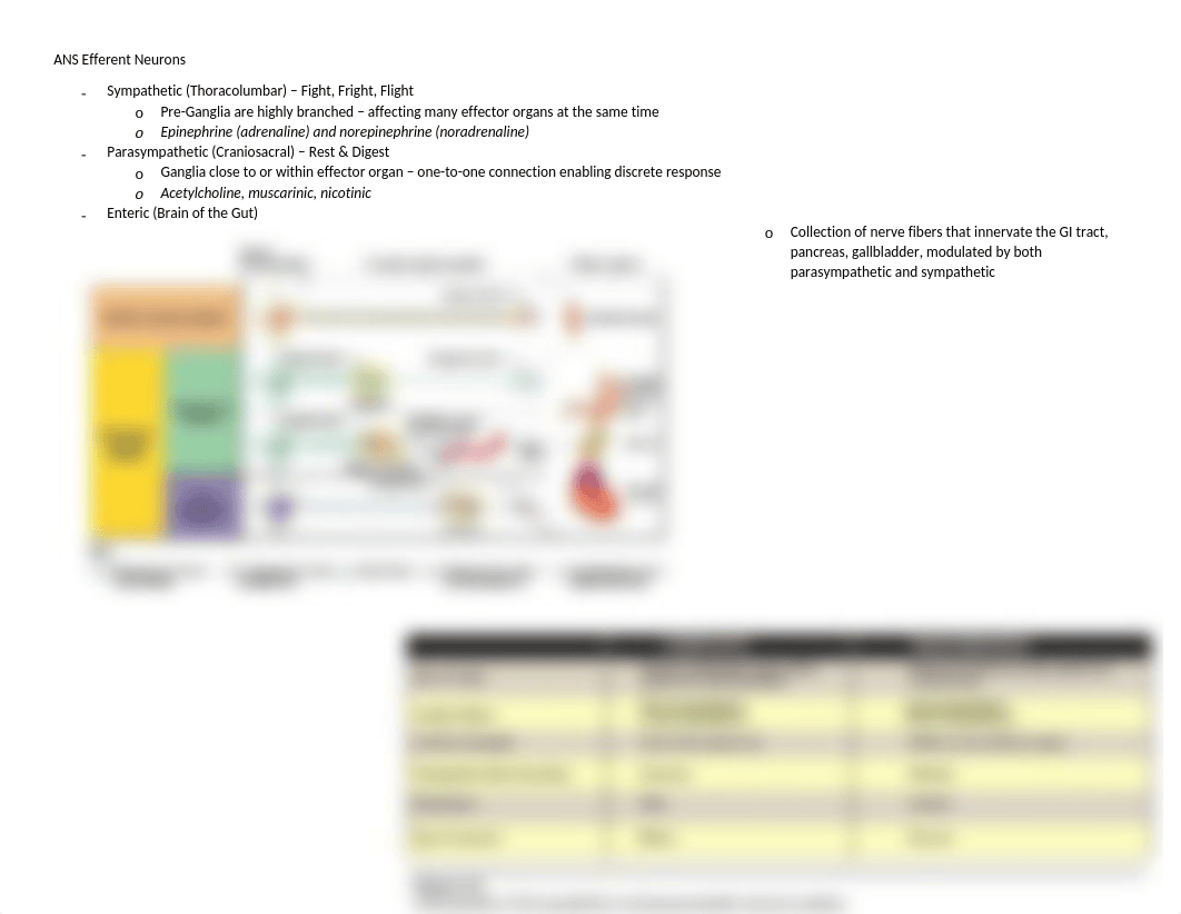 ANS Chart.docx_ddtlq9a5pnv_page2