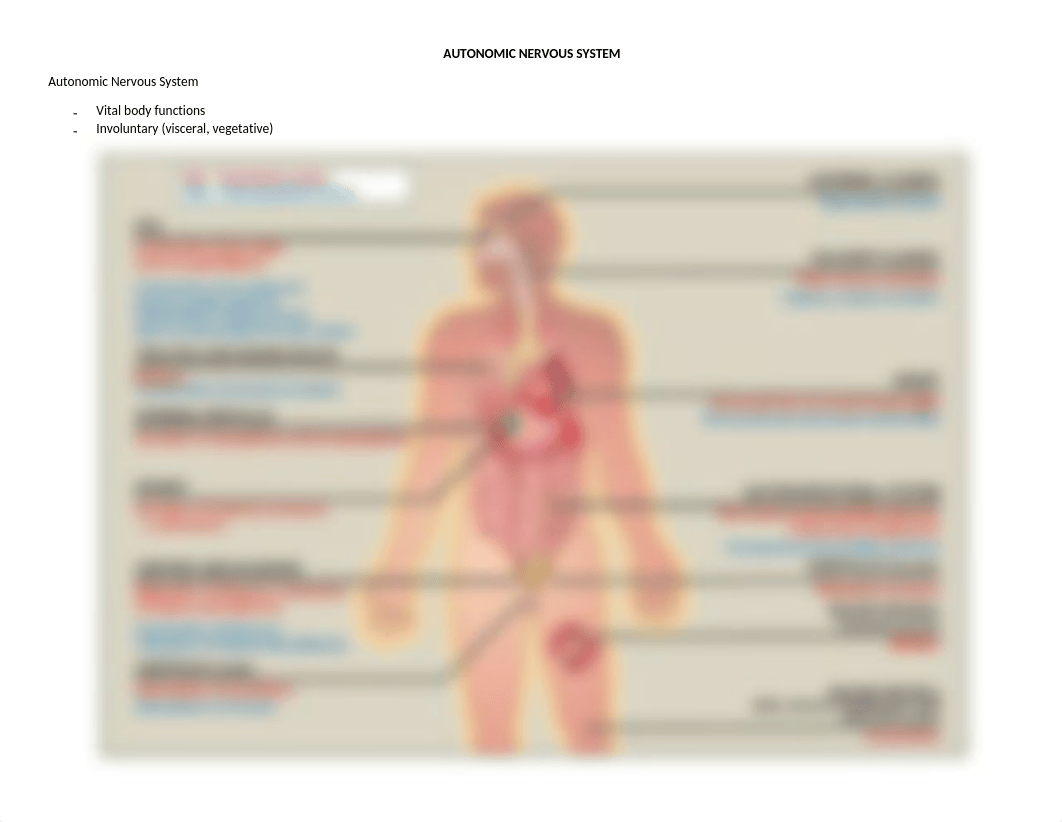 ANS Chart.docx_ddtlq9a5pnv_page1