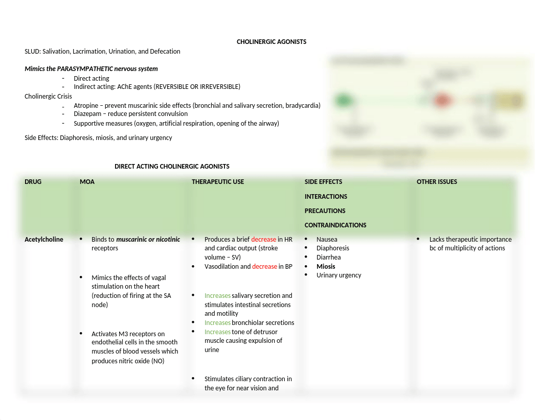 ANS Chart.docx_ddtlq9a5pnv_page3