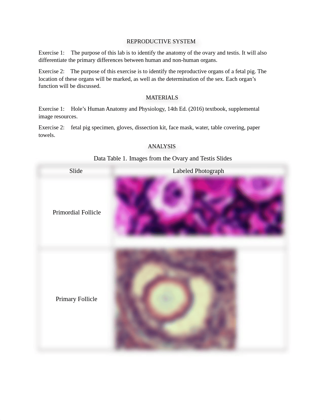 REPRODUCTIVE SYSTEM.docx_ddtzb1vwd23_page1