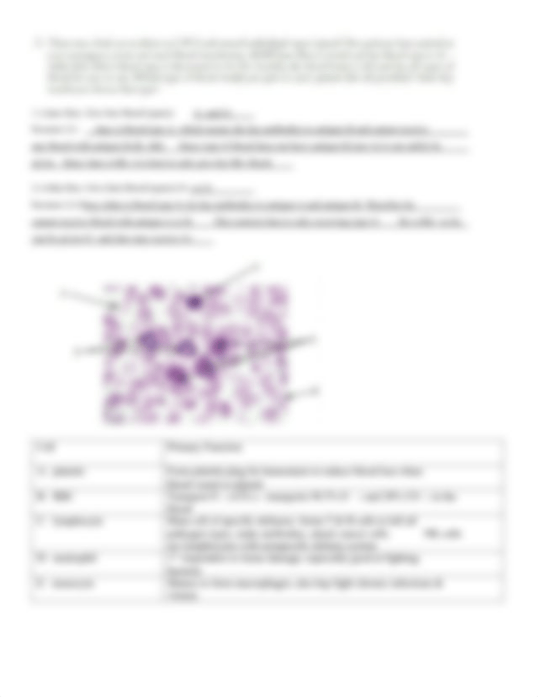 Lab 2 Answer Key .pdf_ddu7smfzvap_page2