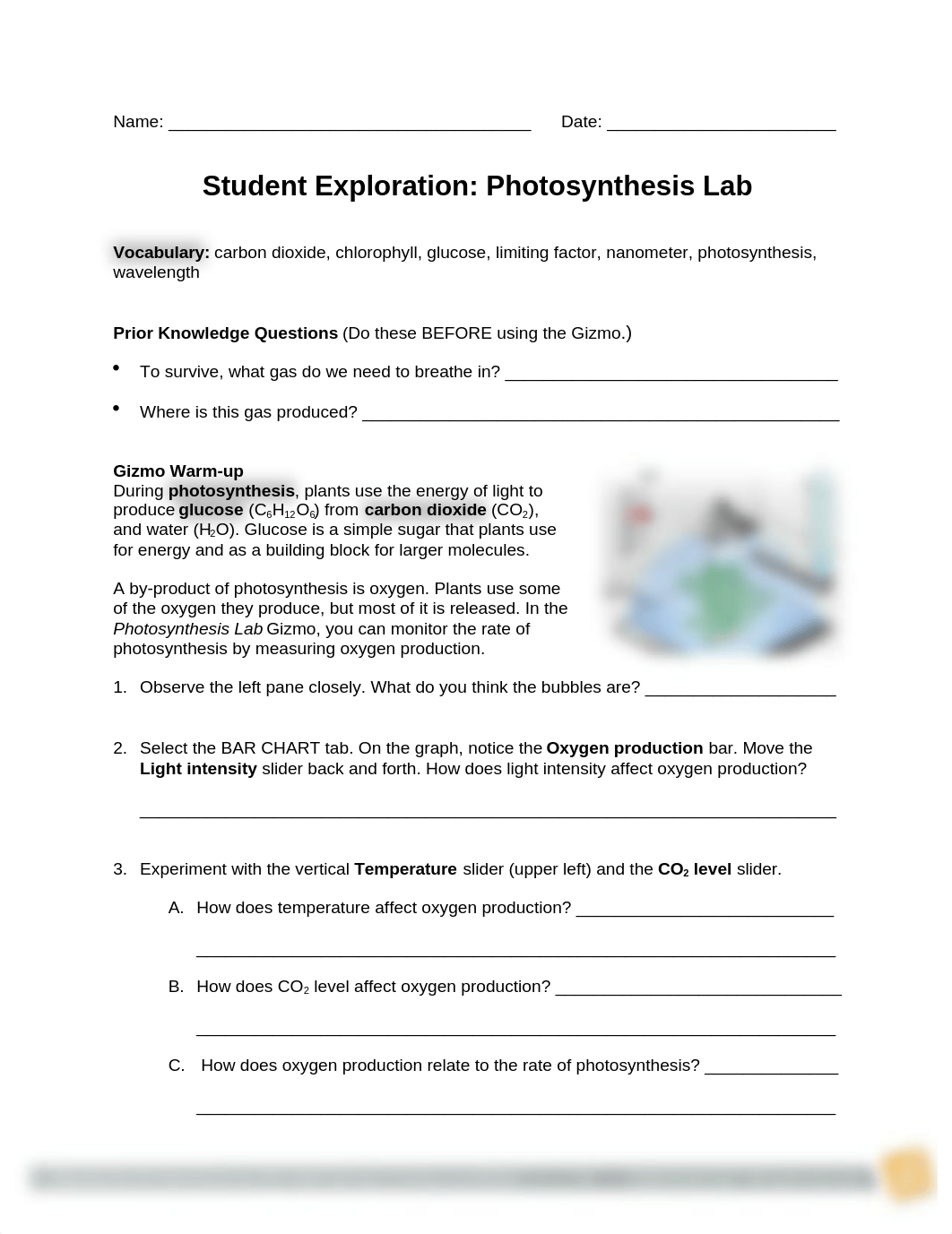 gizmo_photosynthesis_lab.docx_ddud65eh065_page1