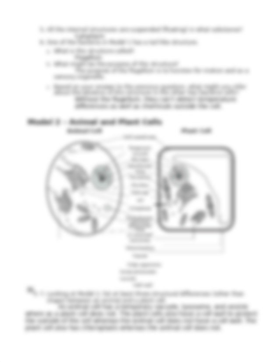 7 Prokaryote and Eukaryote Cells.docx_dduhhu4jx73_page3