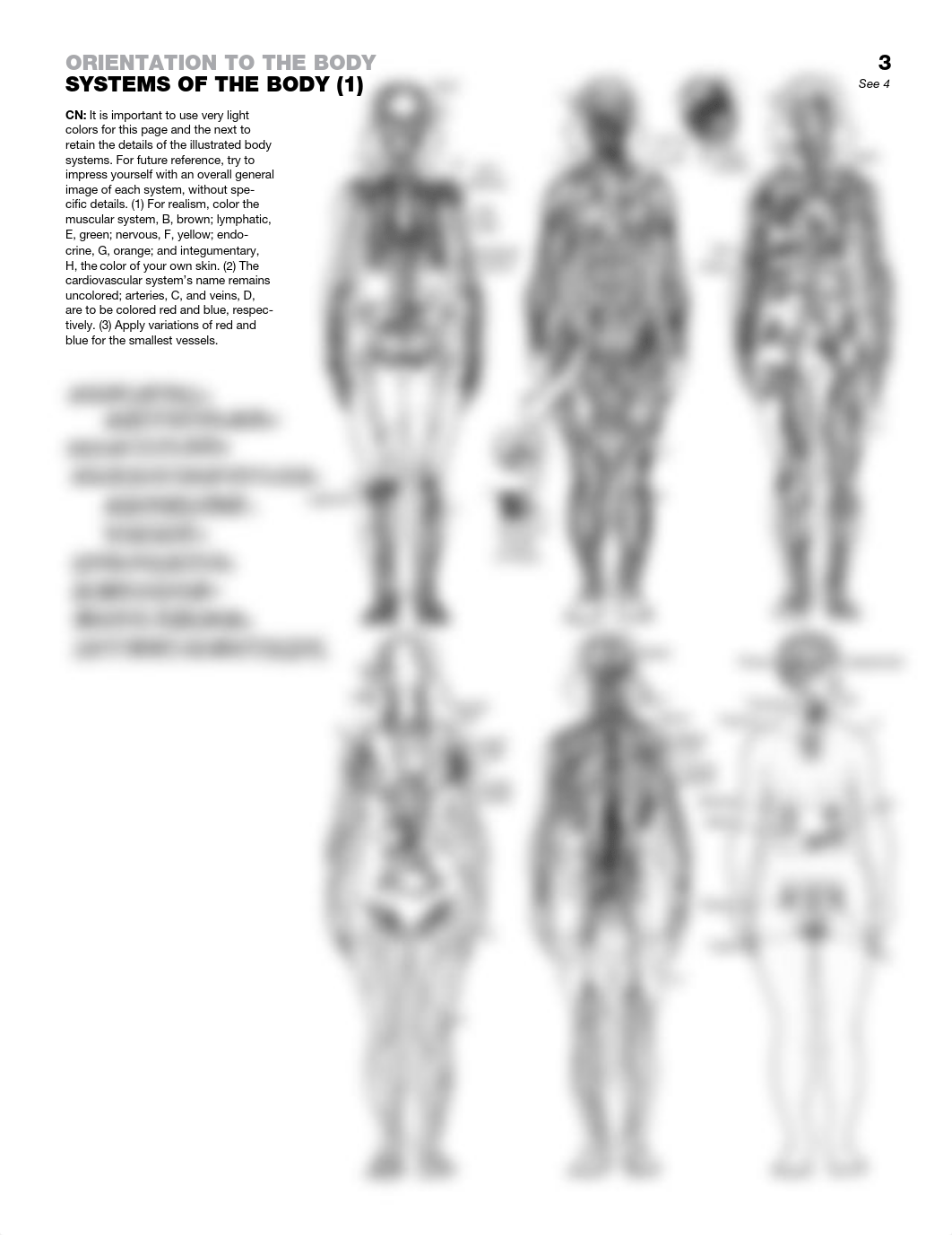 Anatomy Coloring Book .pdf_dduo7w7ufuc_page1