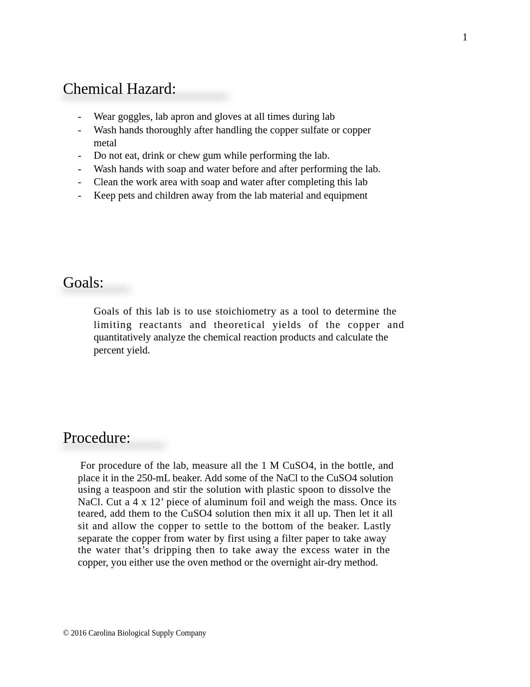 Report Stoichiometry.docx_dduovpoj5bo_page2