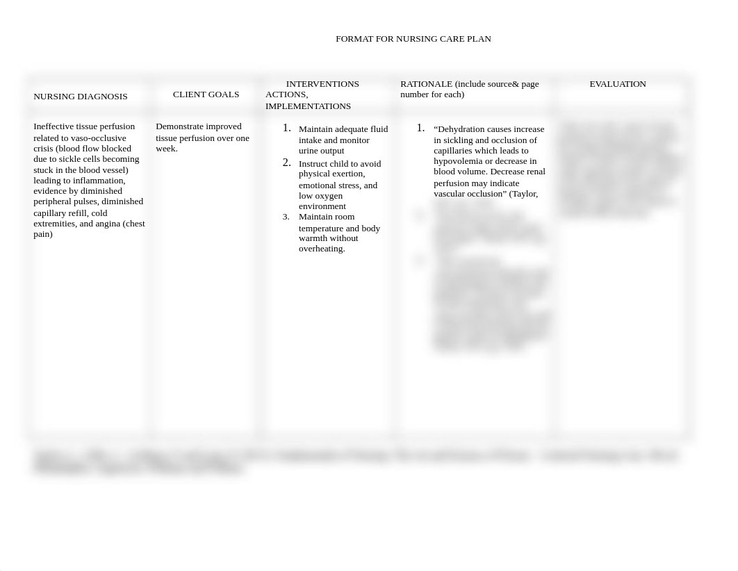 Care Plan part 2.doc_dduroklzt2g_page1