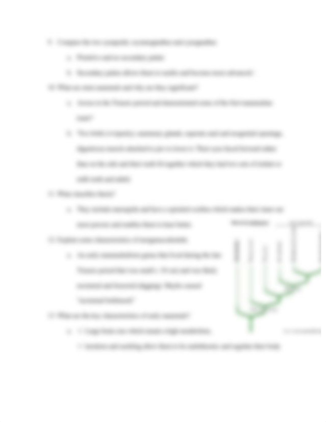 Mammalogy Study Guide Ex. 1.pdf_ddv49ok8kcz_page3