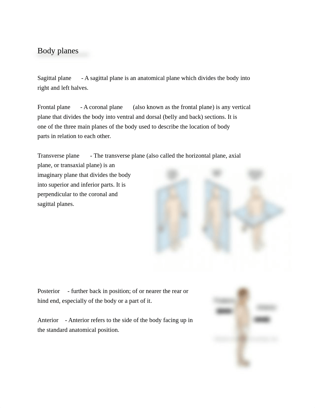 exam 1 a&p.docx_ddvlrp3rqai_page1