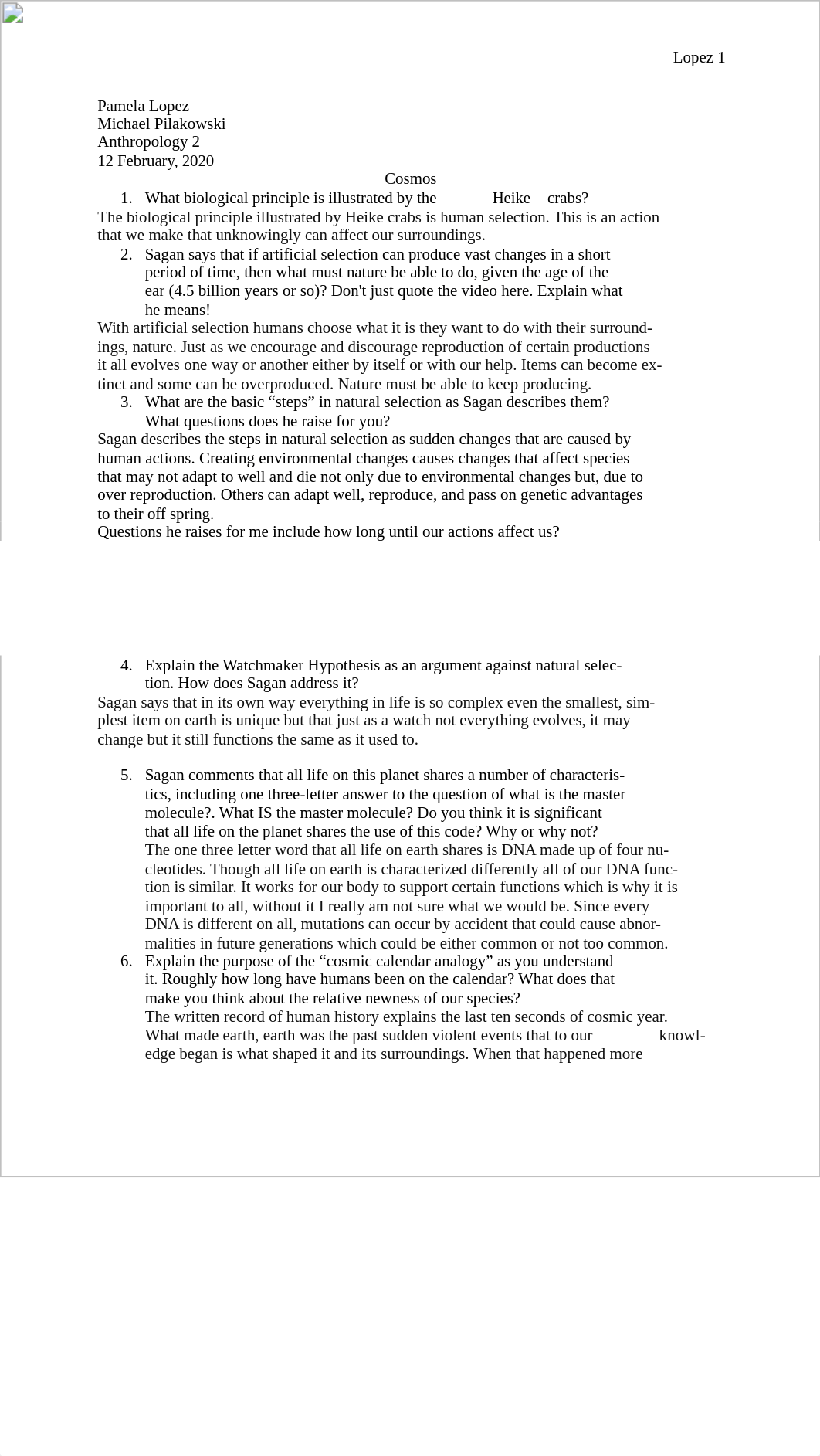 anthro- cosmos.docx_ddvsma2iowp_page1