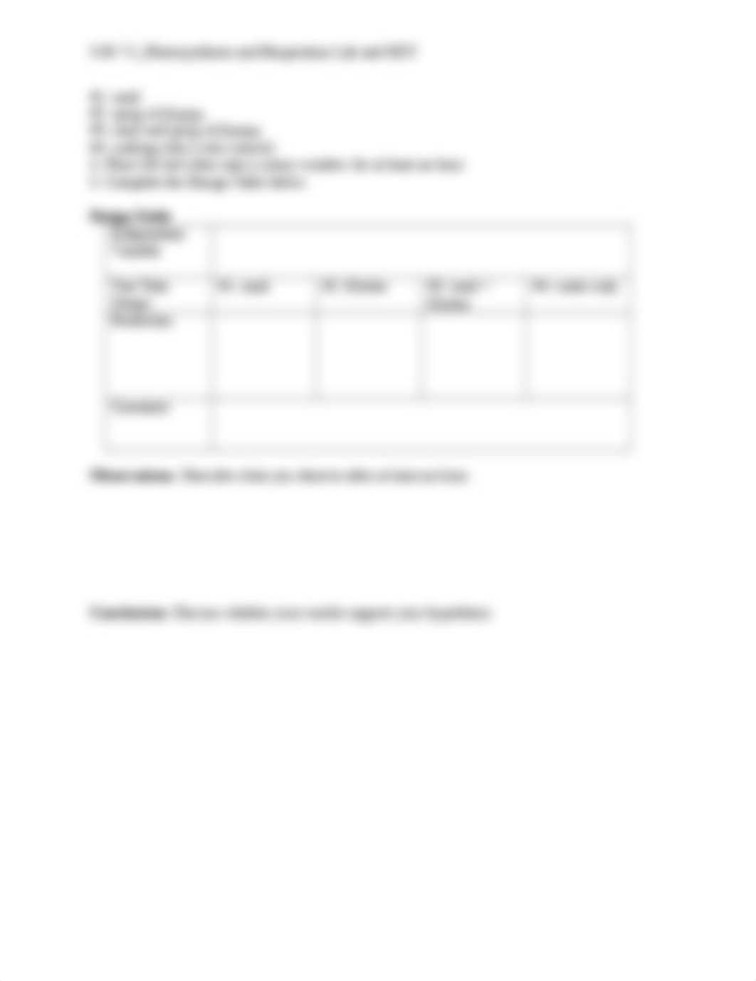 S-B-7-2_Photosynthesis and Respiration Lab and KEY.doc_ddvtcdno04m_page2