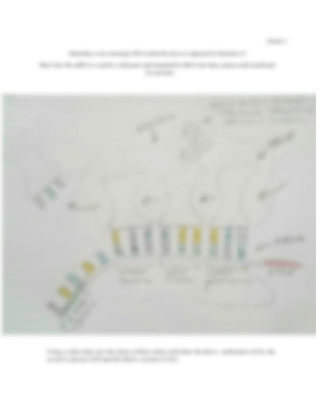 BIO - Molecular Genetics Assignment.docx_ddvue3qokaz_page4