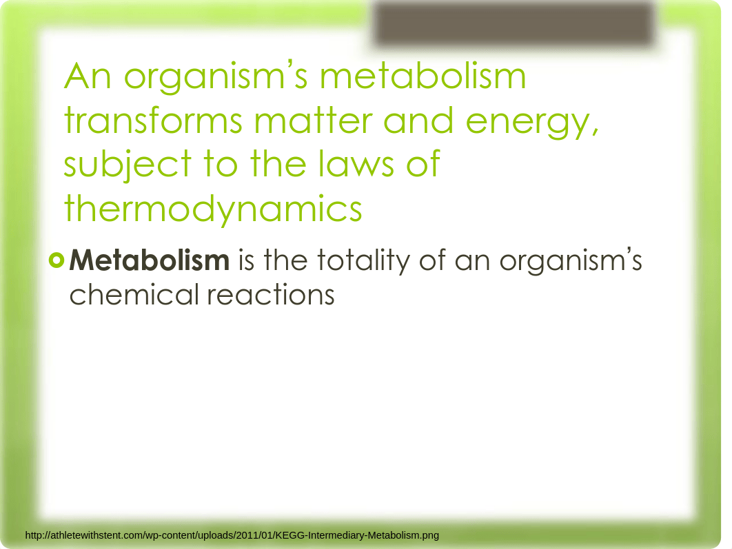 Lecture 11 - Chapter 8 - Metabolism_ddvufhkovcy_page3