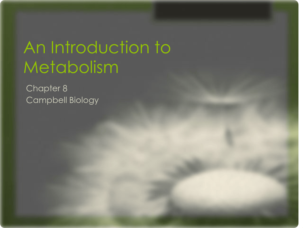 Lecture 11 - Chapter 8 - Metabolism_ddvufhkovcy_page1