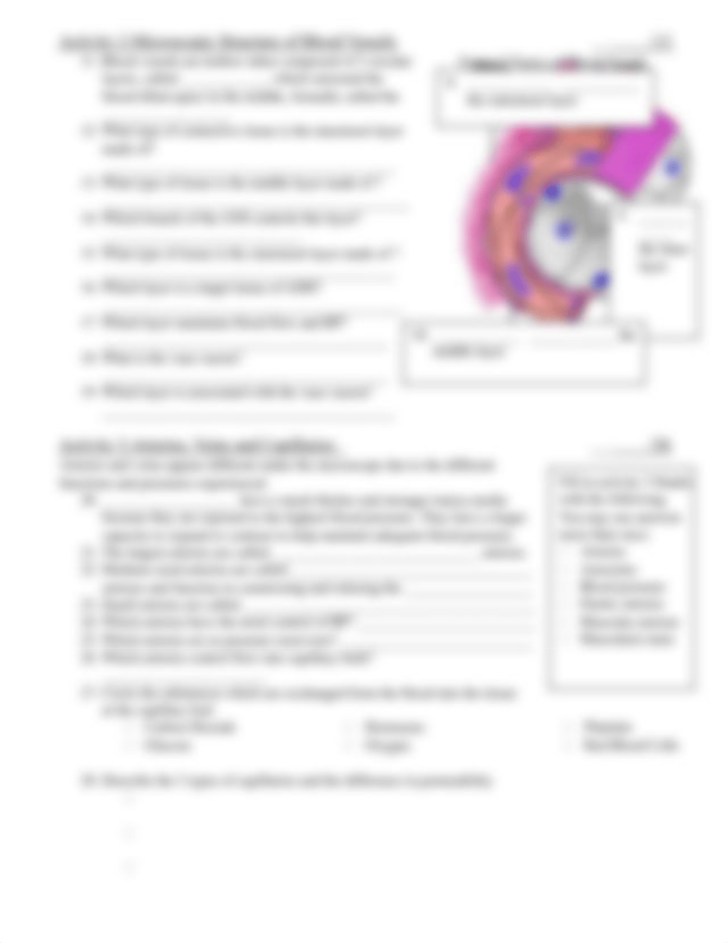 BIO 169 Lab #5 Arteries and Vessel Anatomy(1) (1).docx_ddvvwvk1c8n_page2