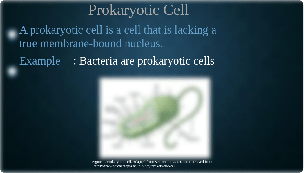 Luther, Cassandra _SC246 Microbiology - Unit 2 Assignment.pptx_ddw5608suxc_page2