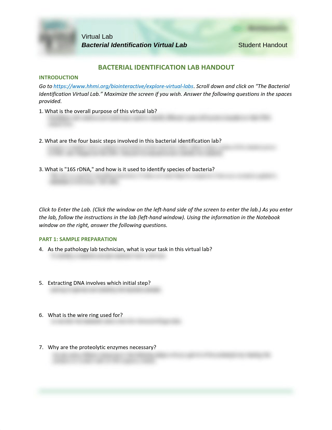 Bacterial-Identification-Lab-Worksheet-Student_Fill_in.pdf_ddwcoy5g6vi_page1