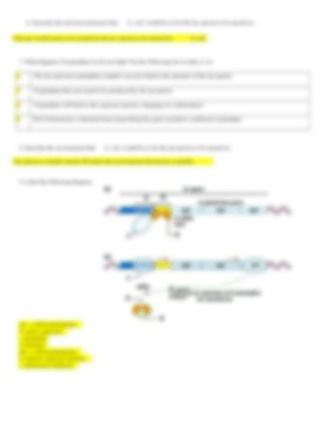 OPeron Worksheet.docx_ddweidcj4p4_page2