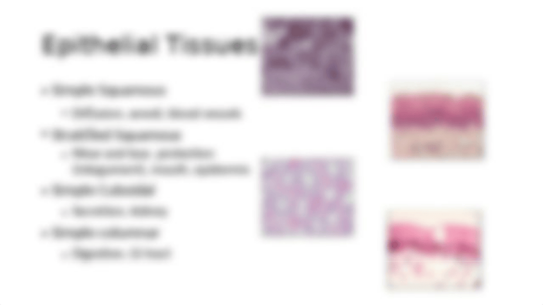 Lab Practical I Review.pptx_ddwssony79q_page3