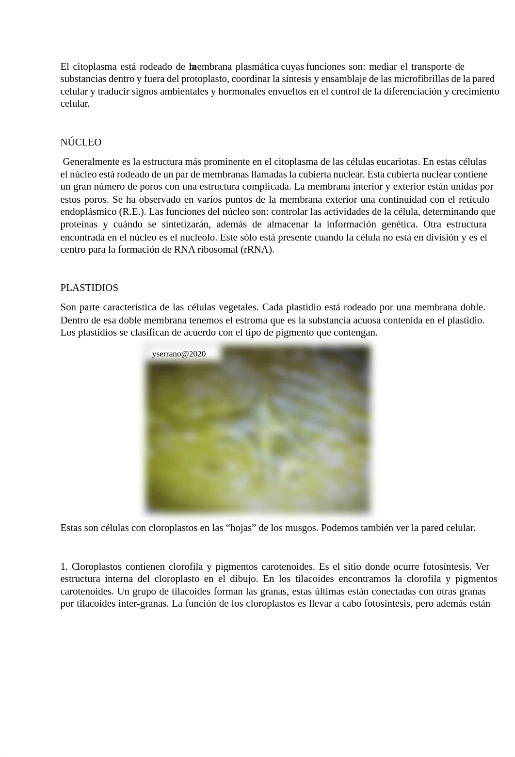 celula vegetal 2020.1.pdf_ddwwyb093b3_page2