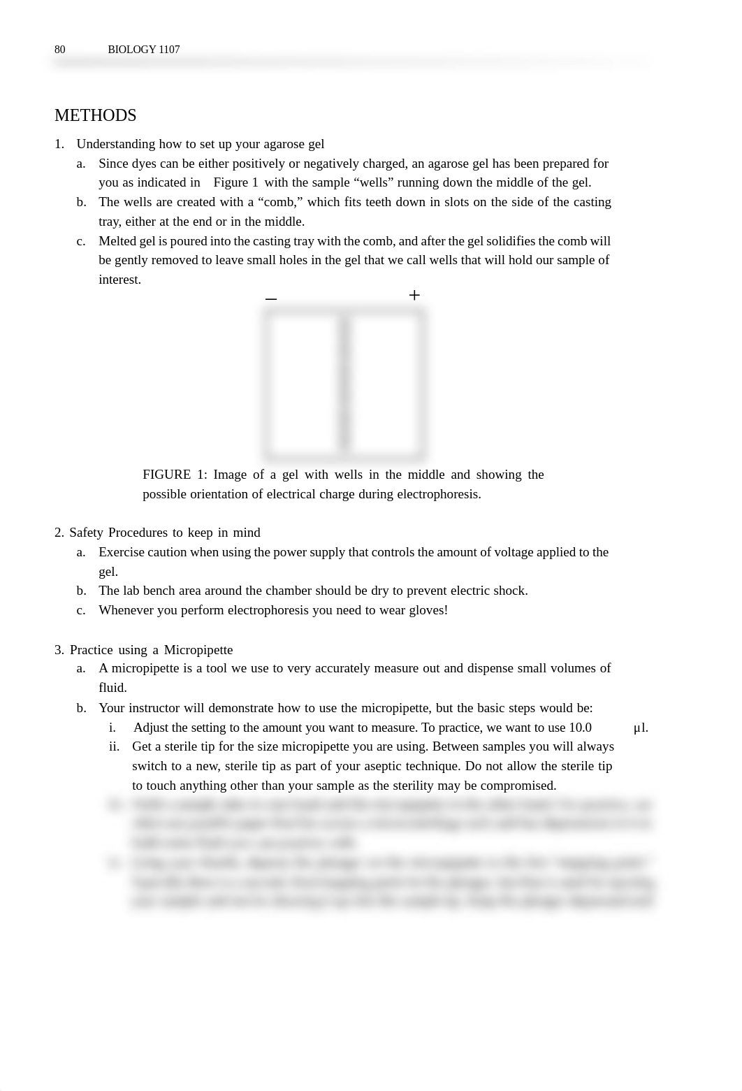 Electrophoresis 1 and 2 Lab (1).pdf_ddx03oafa9n_page2