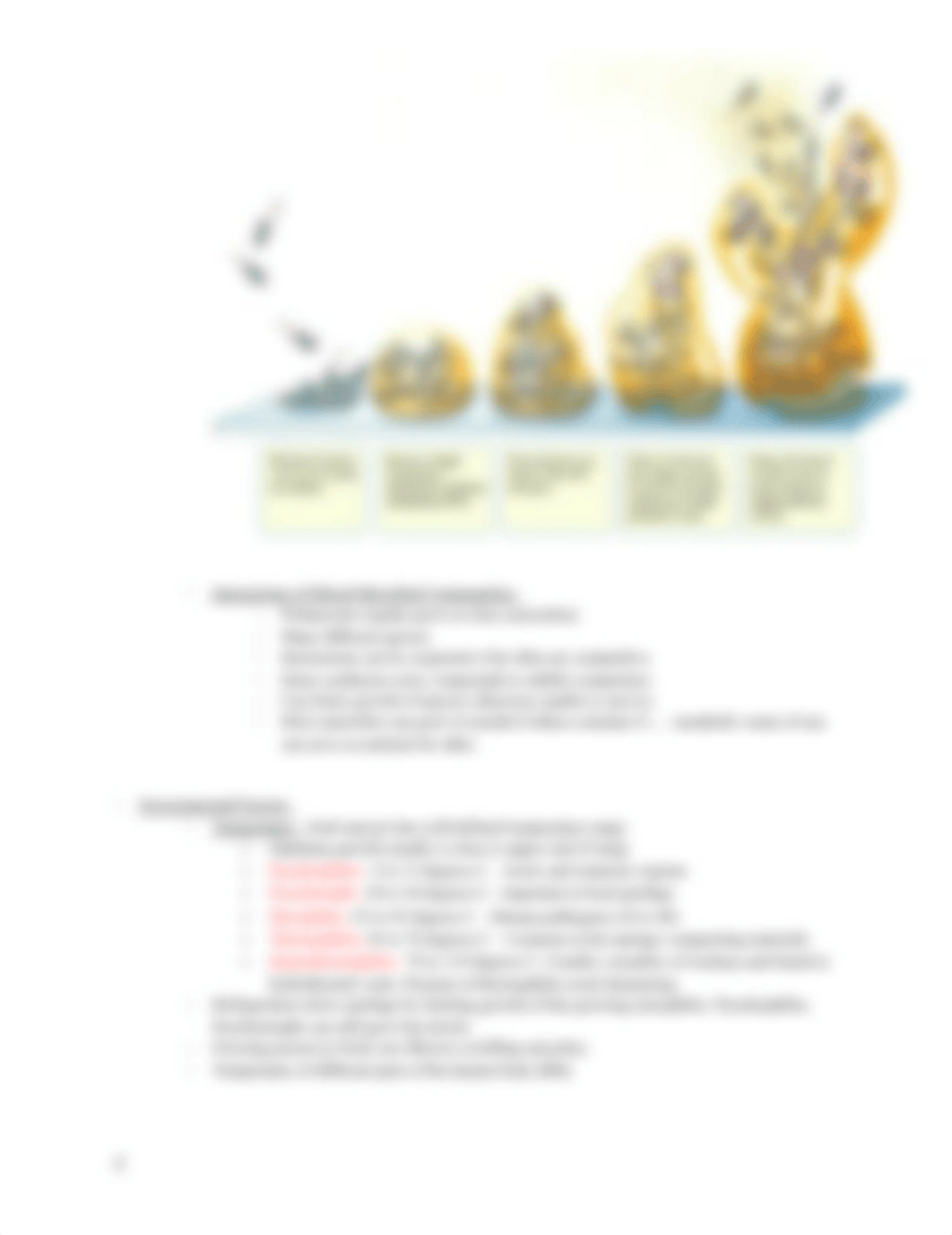 Microbiology Test 2 Study Guide.docx_ddxe6rla6of_page4