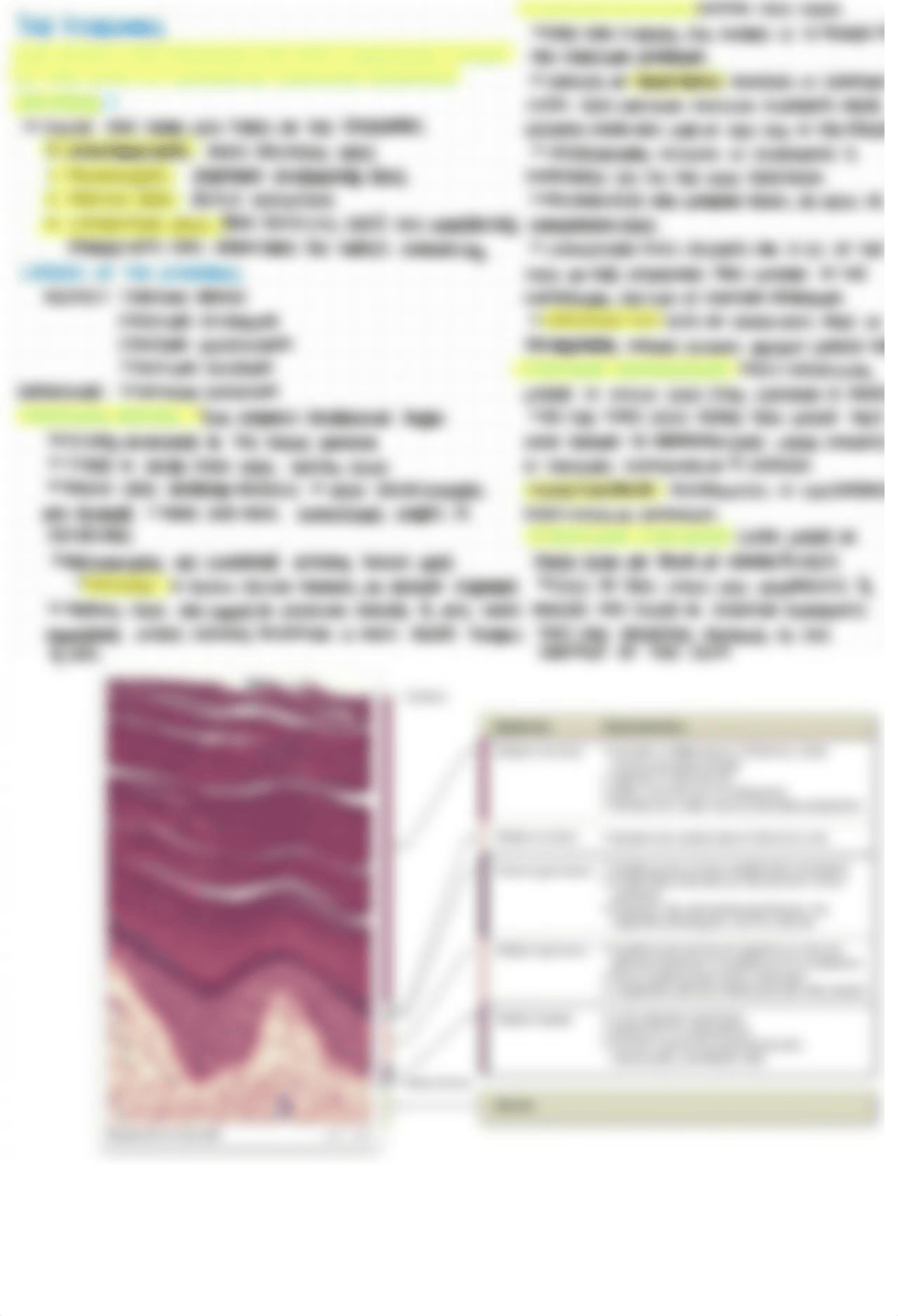 Anatomy 2022? 2.pdf_ddxlh3gr191_page2