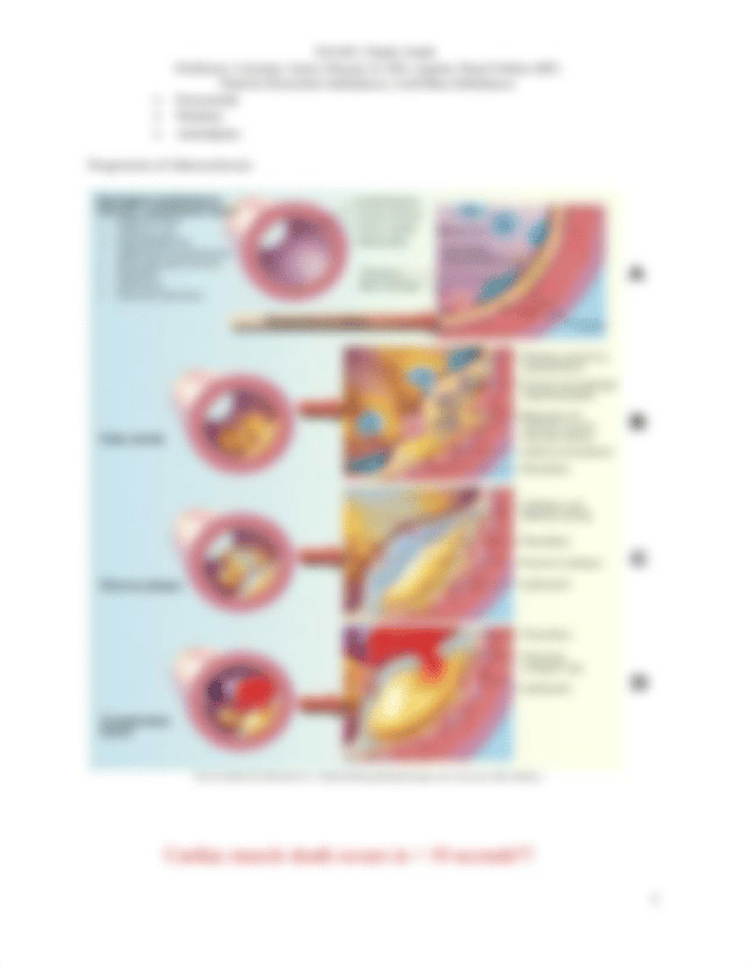 EXAM 3 Study Guide Perfusion_ddxq0zt7y5s_page3