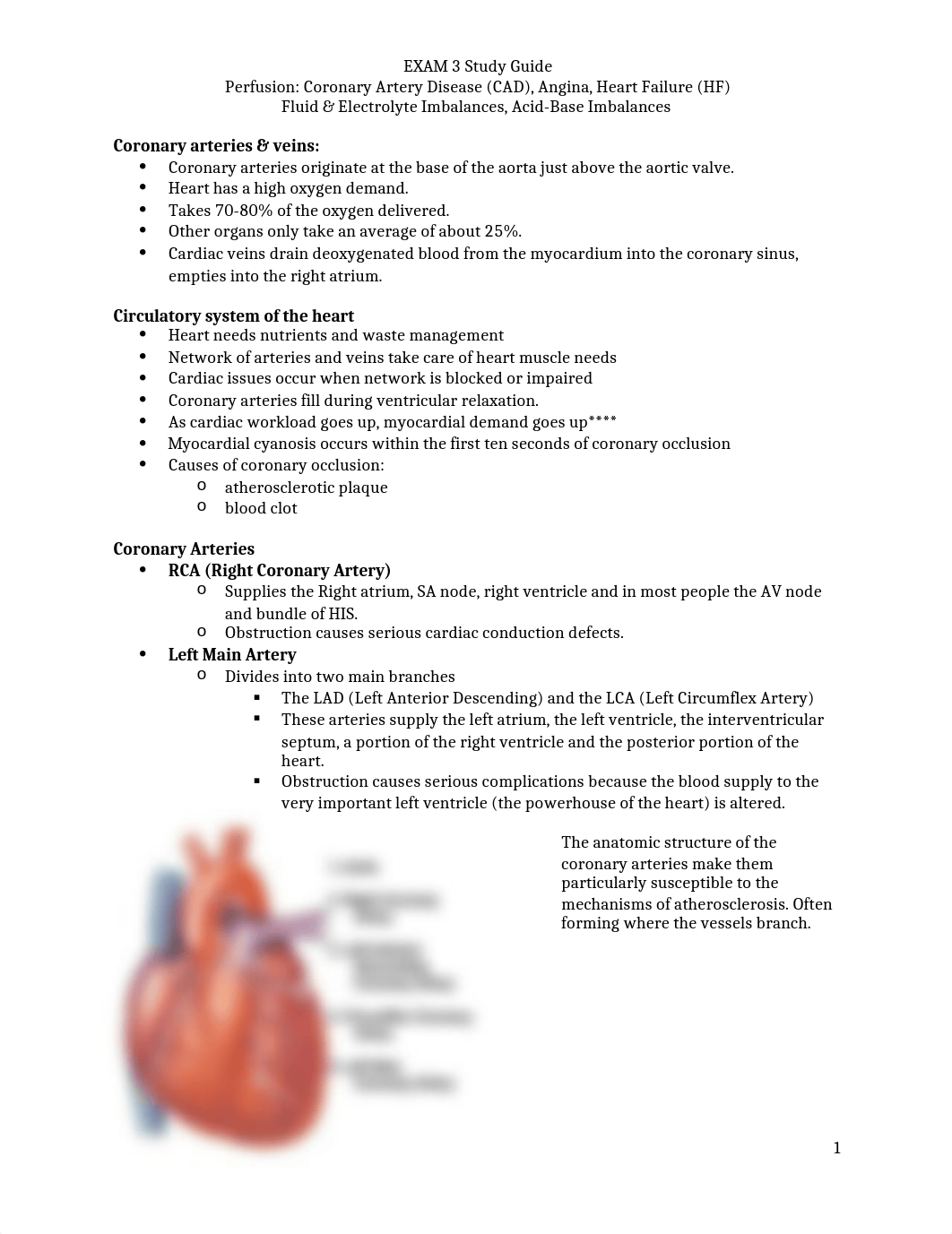 EXAM 3 Study Guide Perfusion_ddxq0zt7y5s_page1