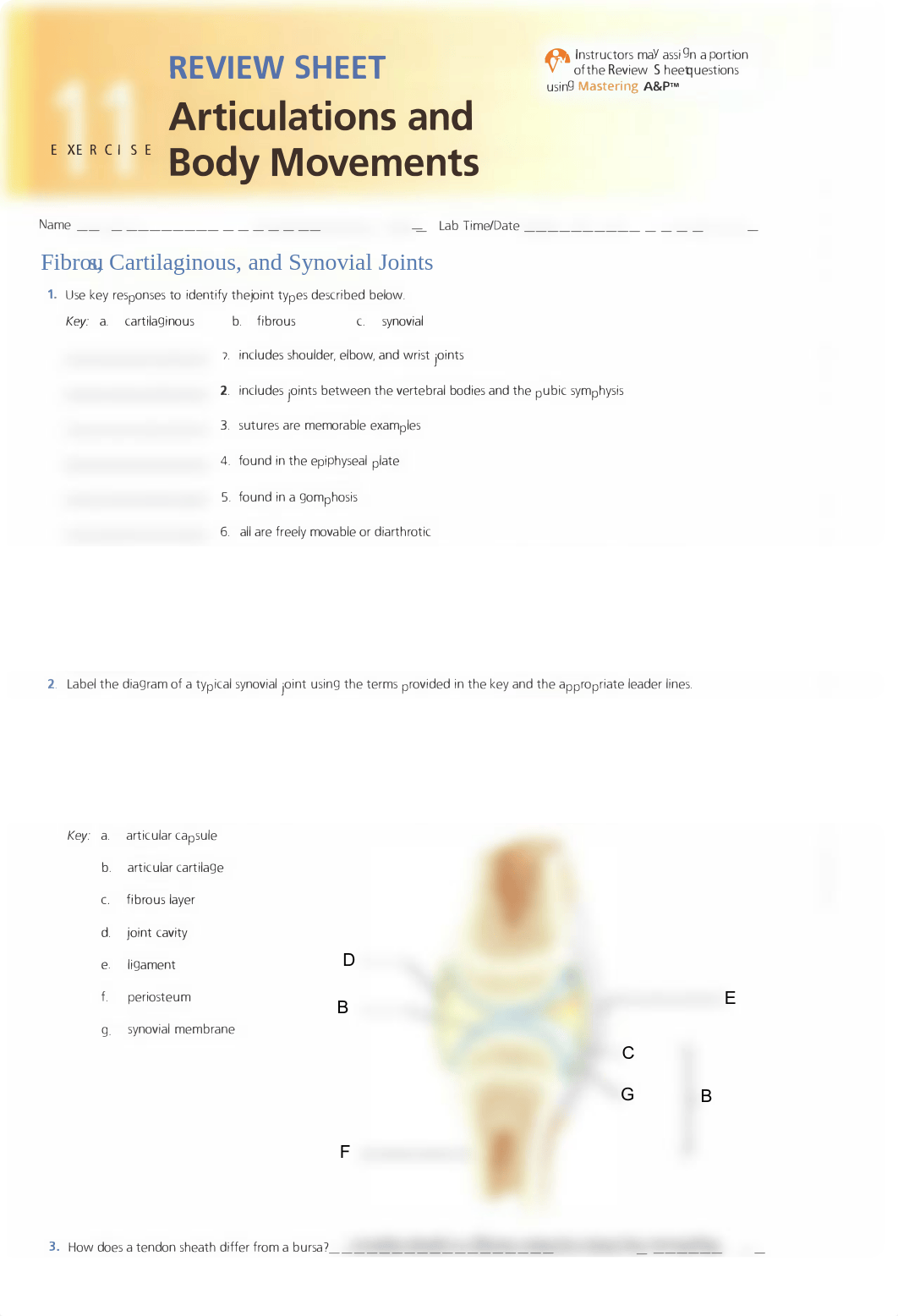 Ex11_Review sheet answers.pdf_ddxw41d0cc9_page1