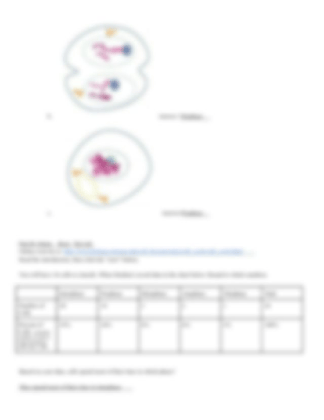 Copy_of_Copy_of_Mitosis_-_Internet_Lesson_ddy3p117aw3_page2