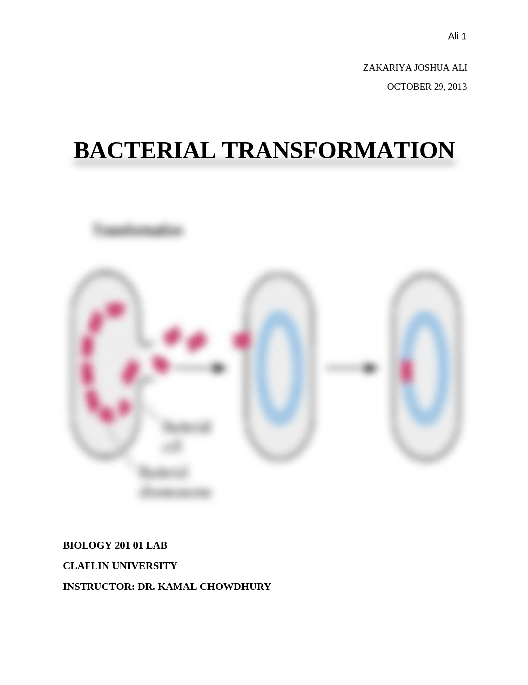 Bacteria Transformation Lab_ddyn7nzej7u_page1