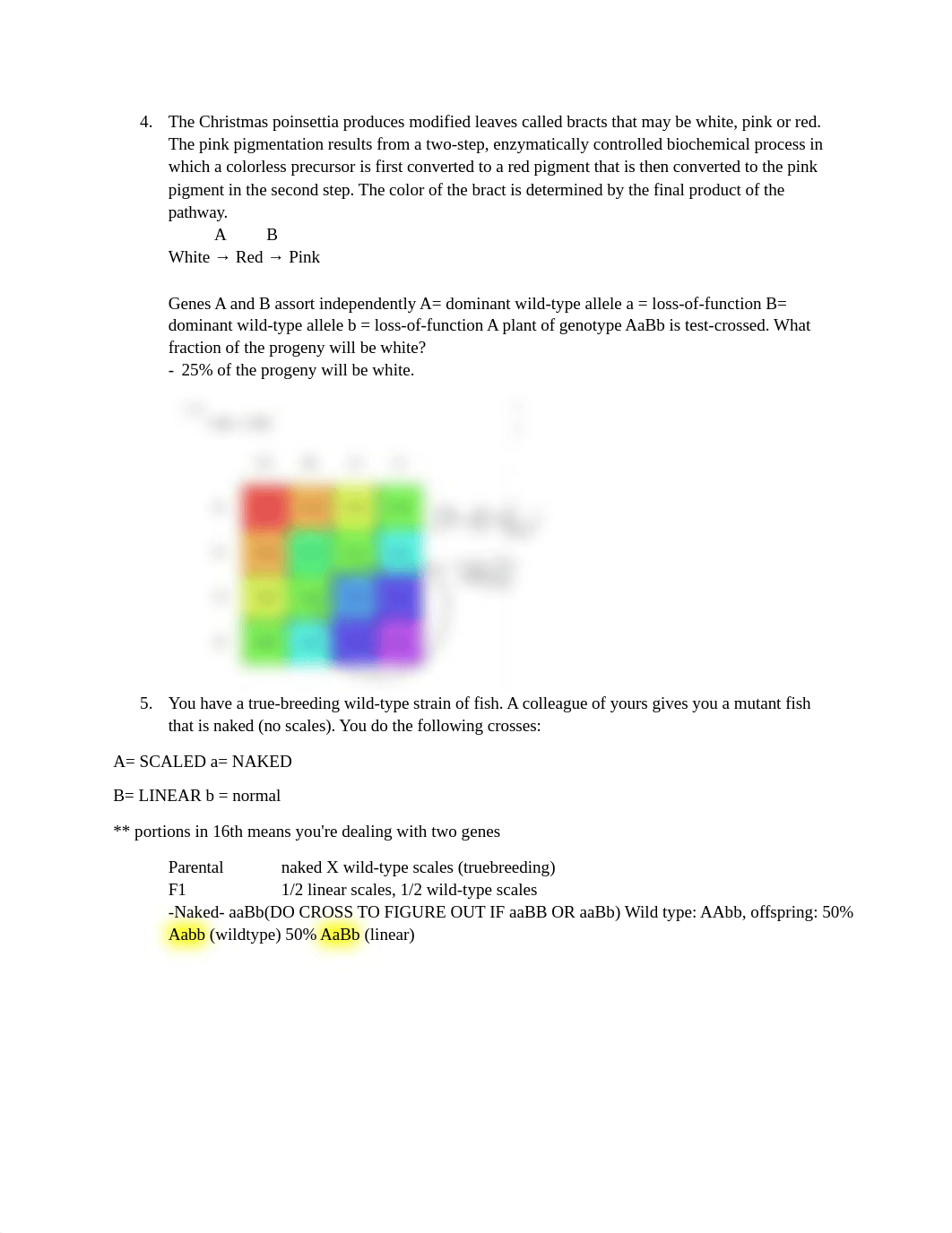 genetics Practice Problems 2.docx_ddynraeq8lq_page3