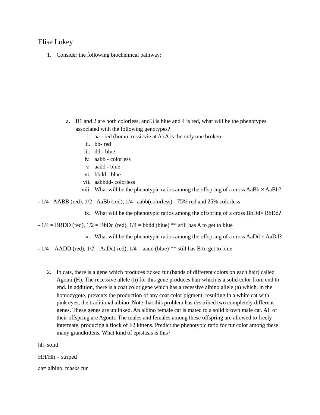 genetics Practice Problems 2.docx_ddynraeq8lq_page1