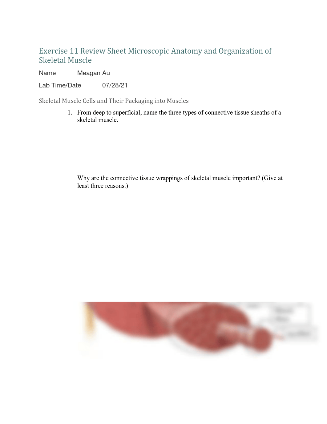 bio 226 lab 11.pdf_ddyoe95mj0o_page1