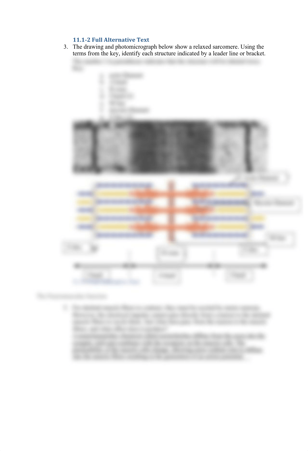 bio 226 lab 11.pdf_ddyoe95mj0o_page2