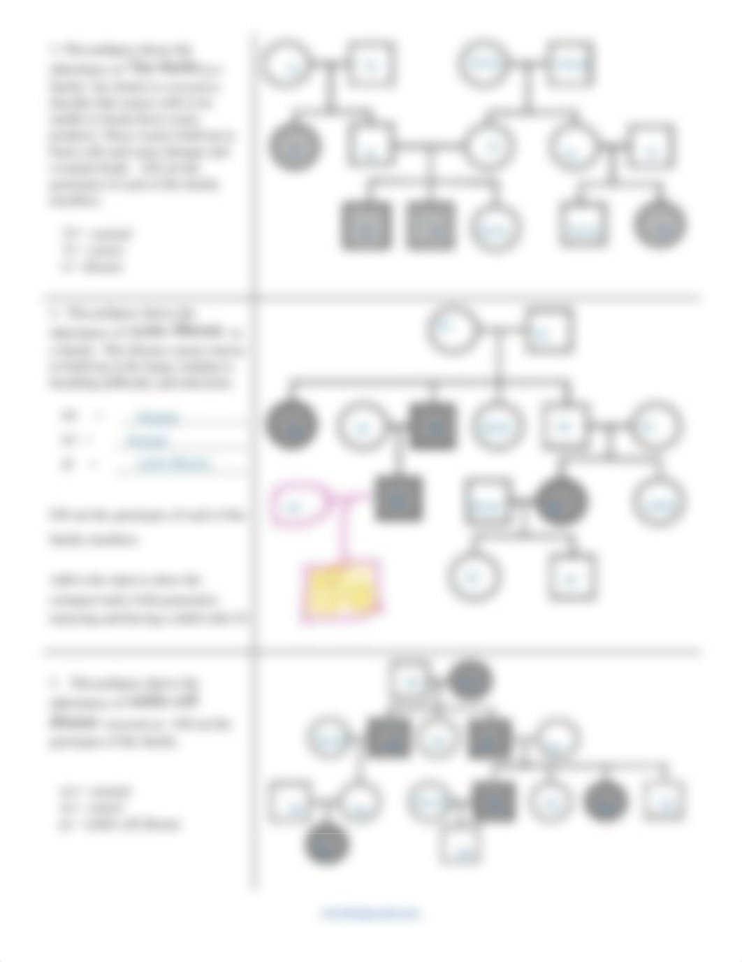 Kami Export - Nikar Samadova - Pedigrees Practice - Human Genetic Disorders.docx.pdf_ddyvhua1drx_page2